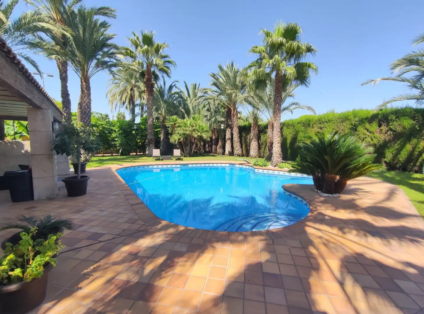 Piscina de Casa o xalet en venda en Elche / Elx amb Aire condicionat, Calefacció i Jardí privat