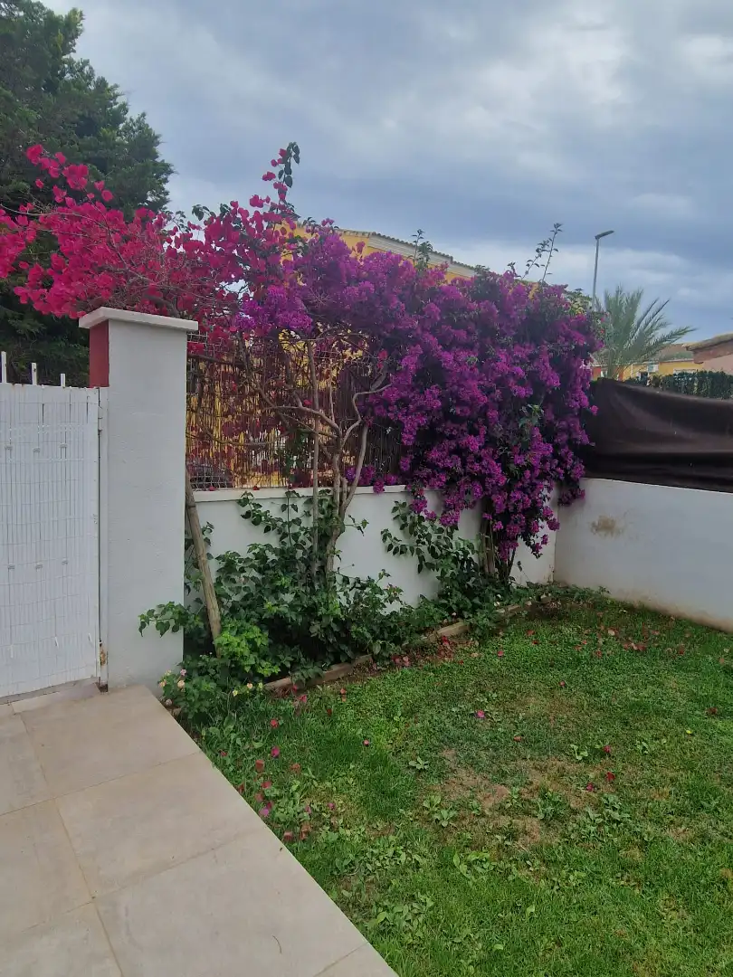 Detached homes for rent in Riba-roja de Túria