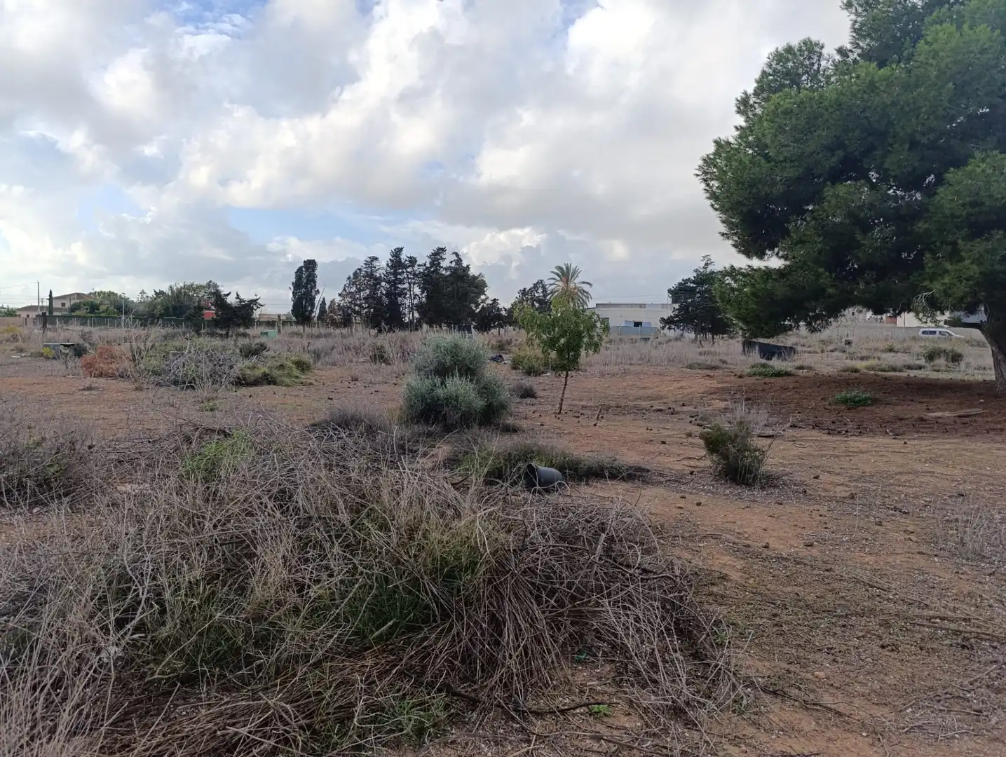 Nau industrial en venda a San Pedro del Pinatar, imagen 6
