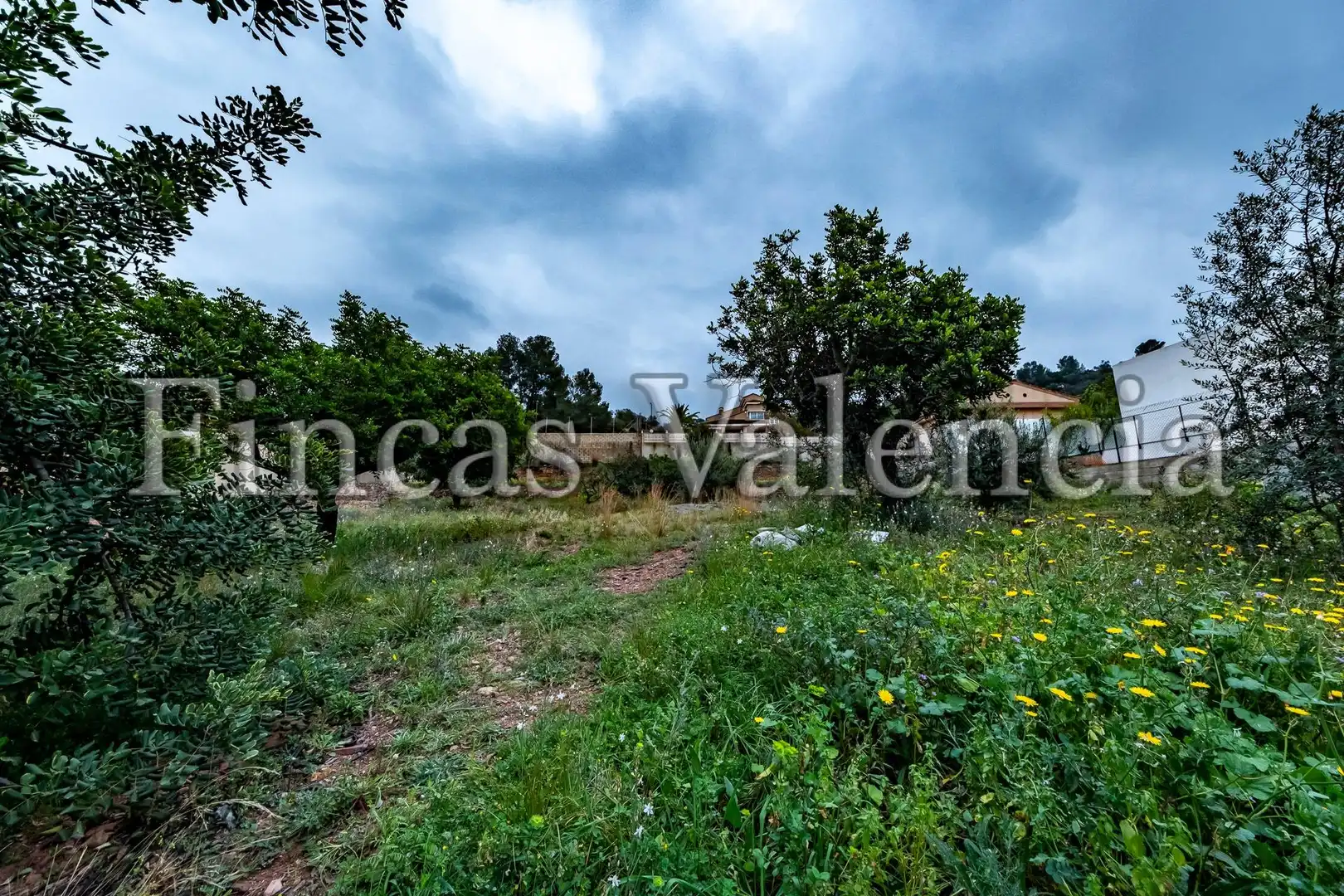Residencial en venta en Calle Calle de Bosch Marín, Torres Torres
