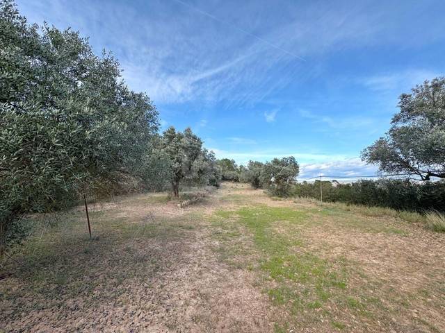 Terreno en Venta en Ascó