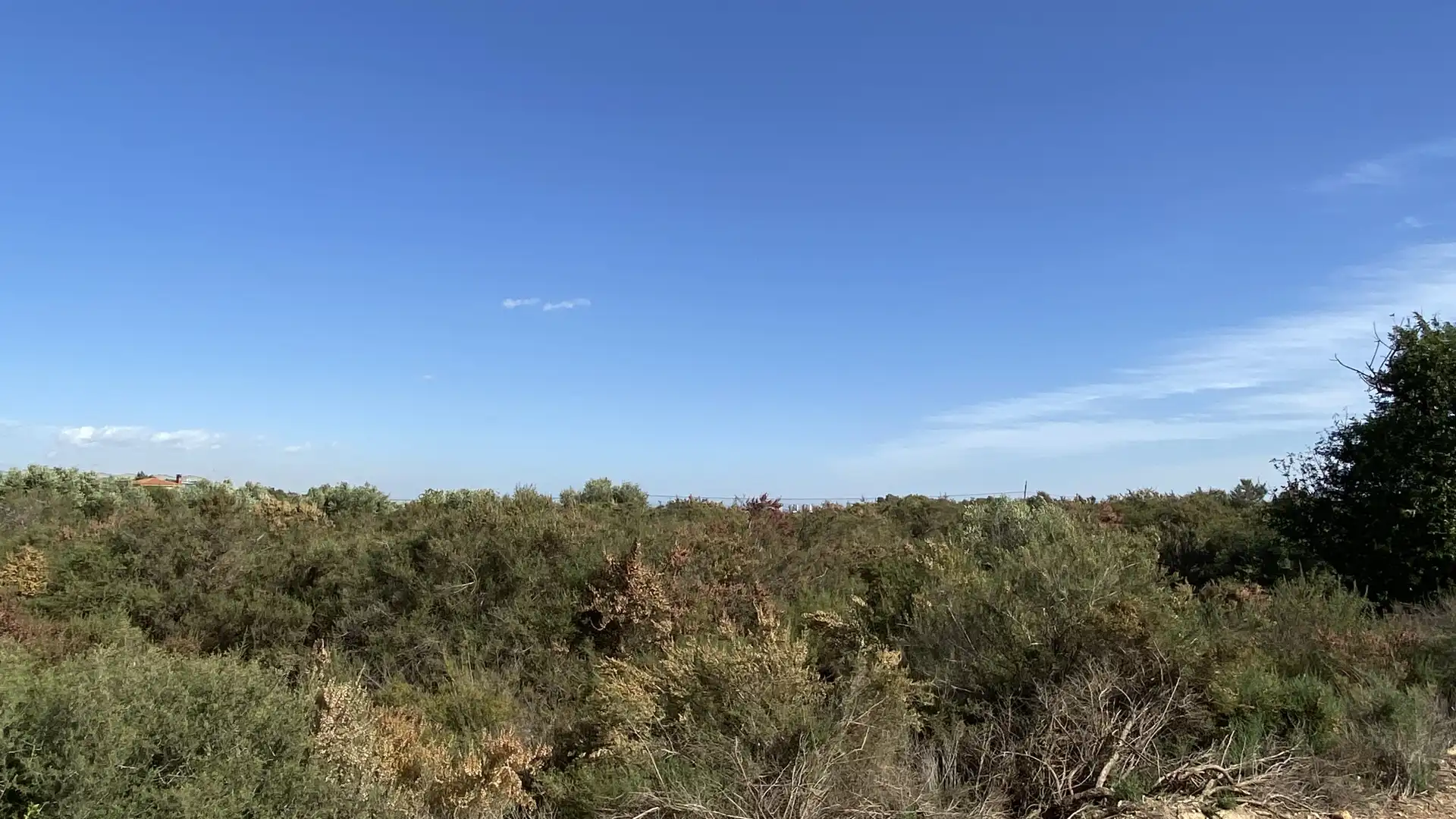 Terreno en venta en Elche / Elx