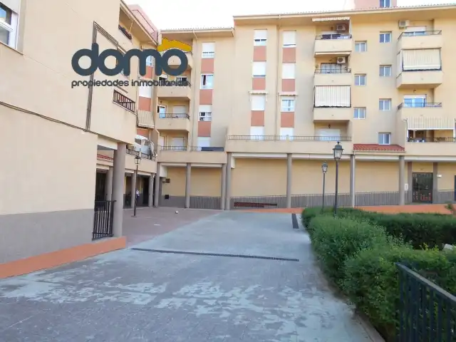 Flat for rent in Calle Emilia Pardo Bazán, Joaquina Eguaras
