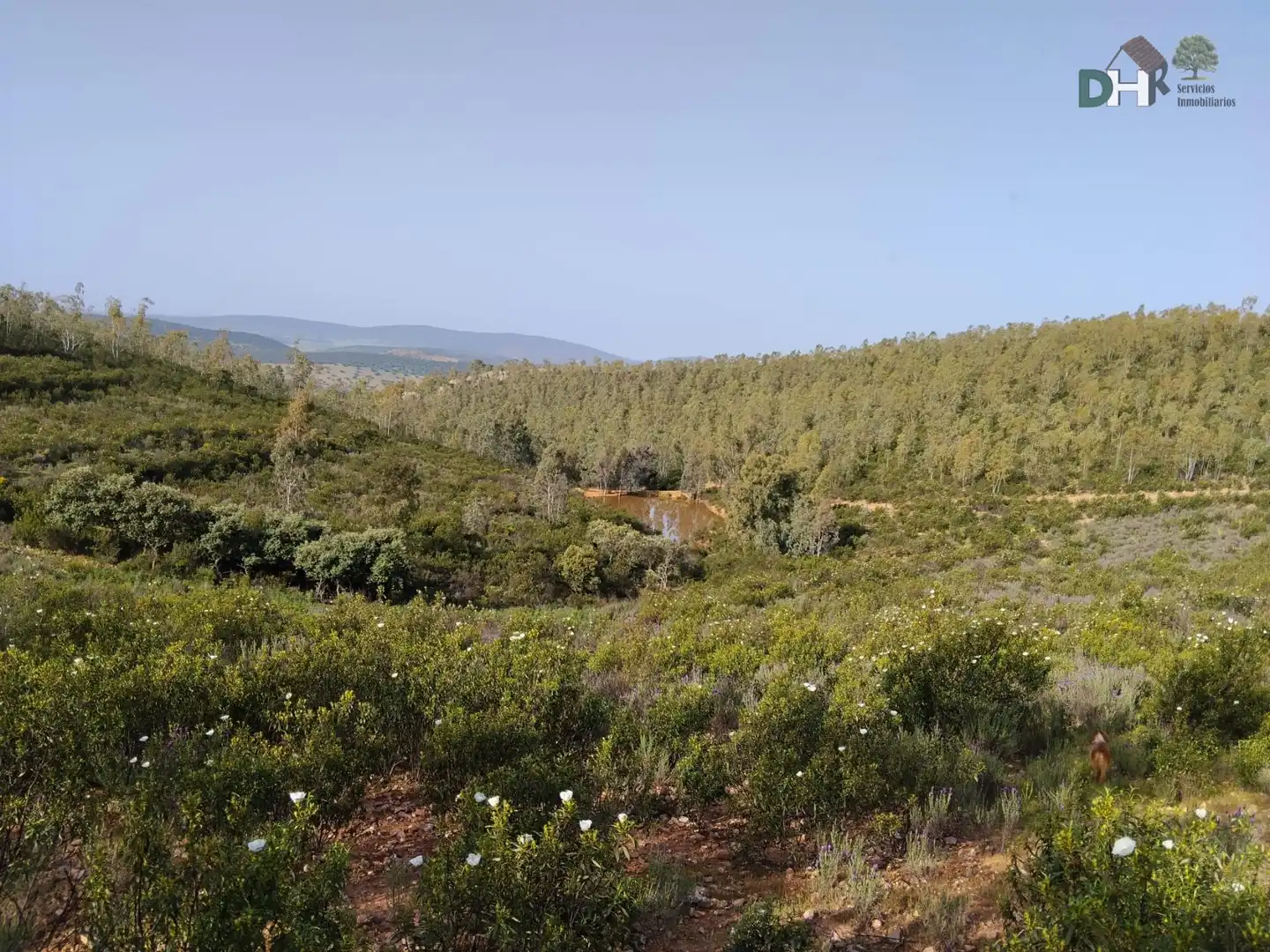 Terreni e lotti in vendita a San Roque - Ronda Norte