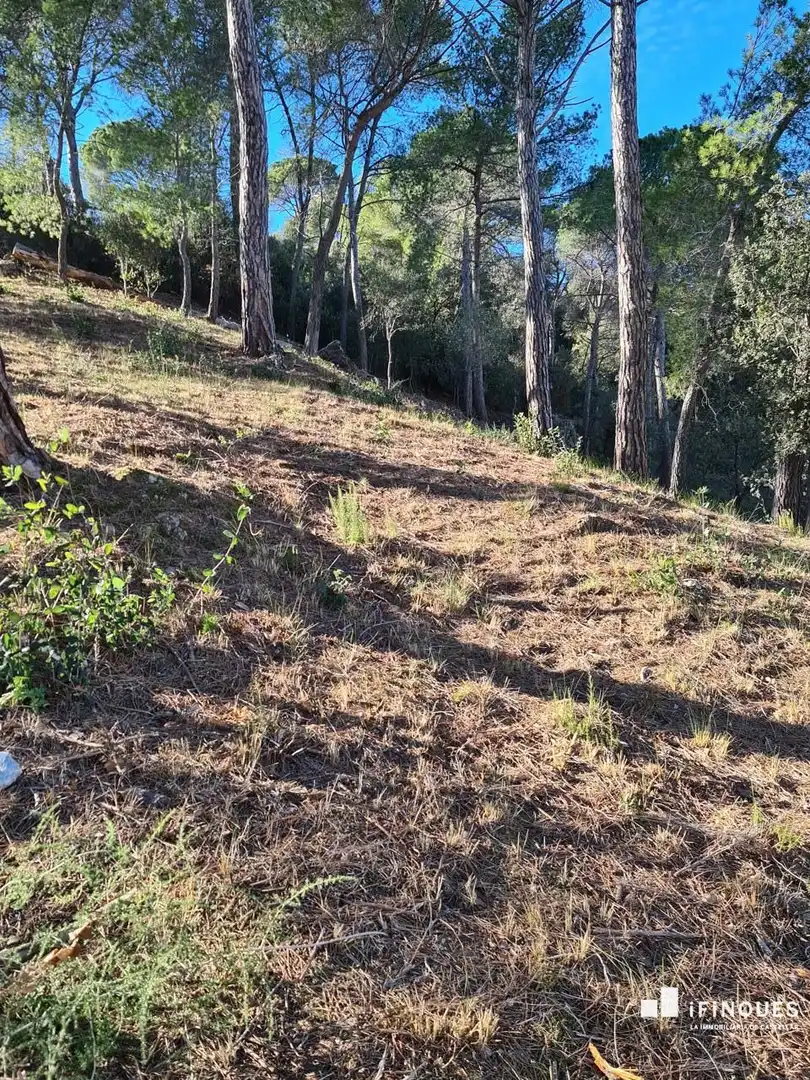 Lands and plots for sale in El Racó - Sant Feliu del Racó, imagen 6