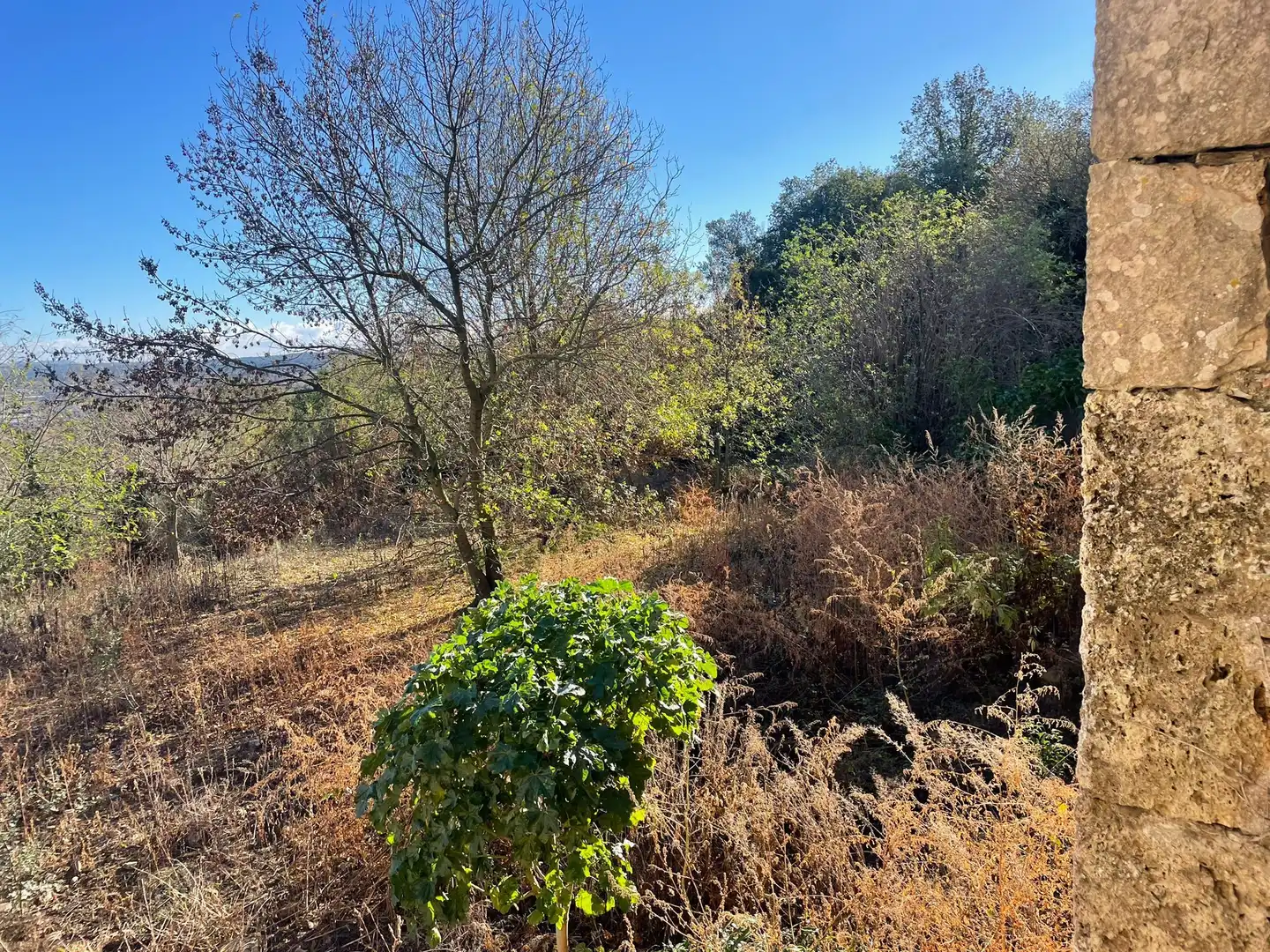 Country house zum Verkauf in Sant Julià de Ramis mit Privatgarten