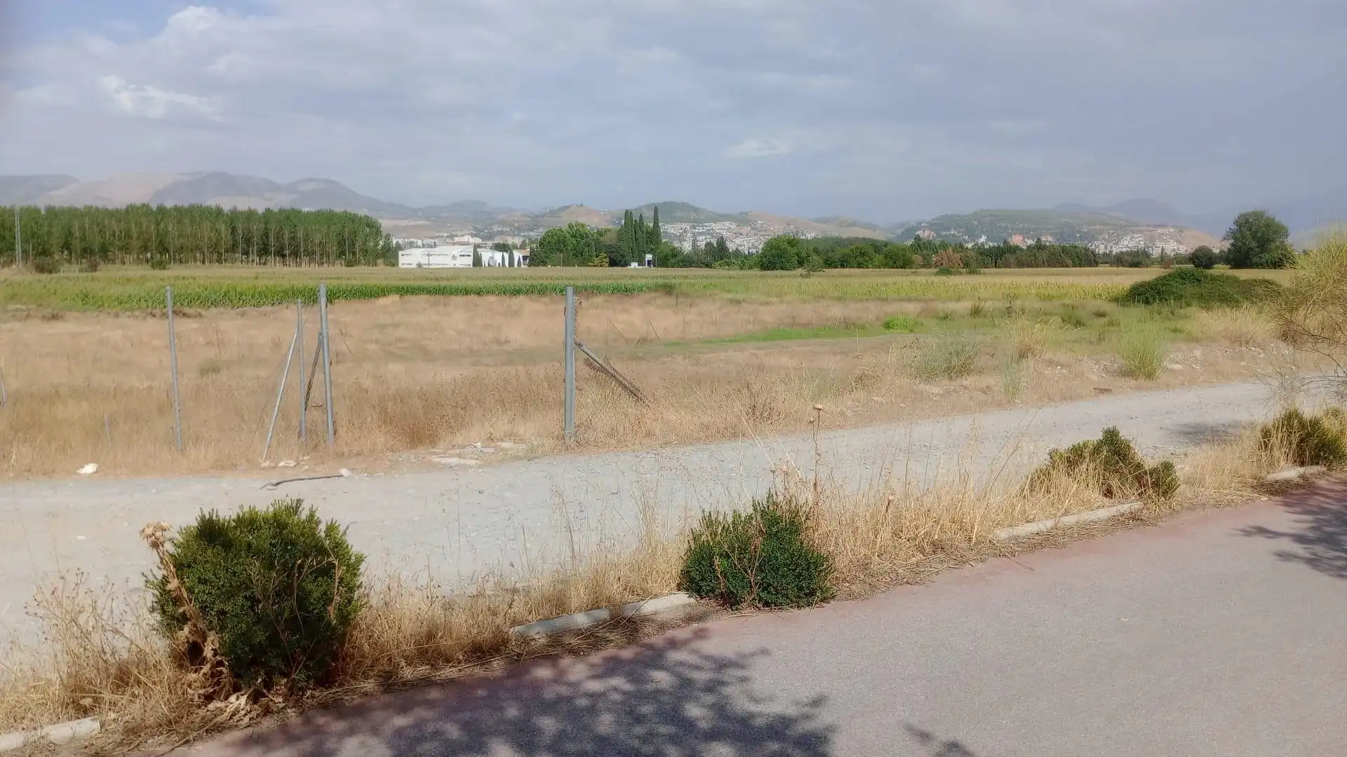 Terreno rustico in vendita a Ronda, imagen 7