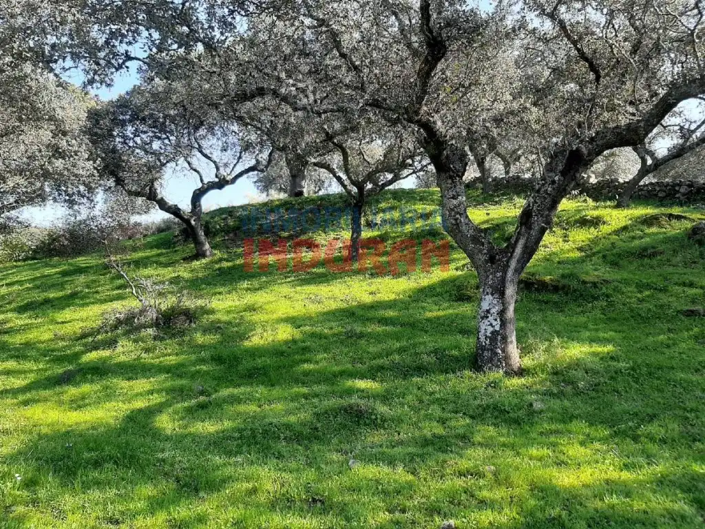 Casa en venta en Millanes, imagen 6