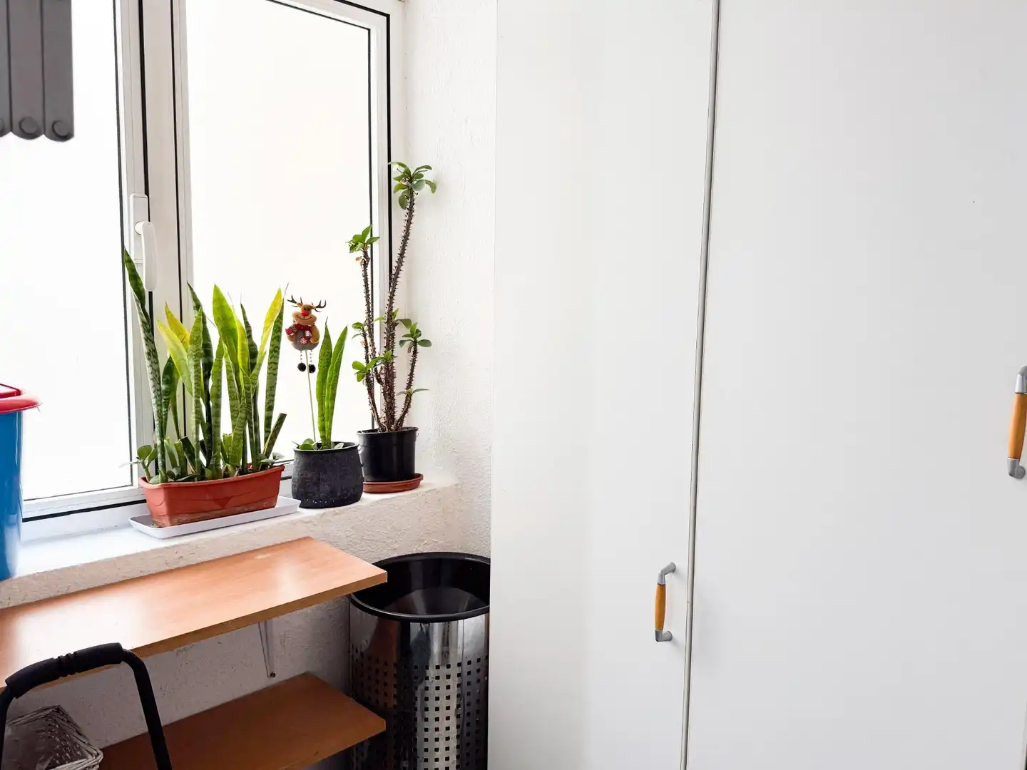 Wohnung mit Garten zum Verkauf in Avenida PINTOR FELO MONZON 23, imagen 15