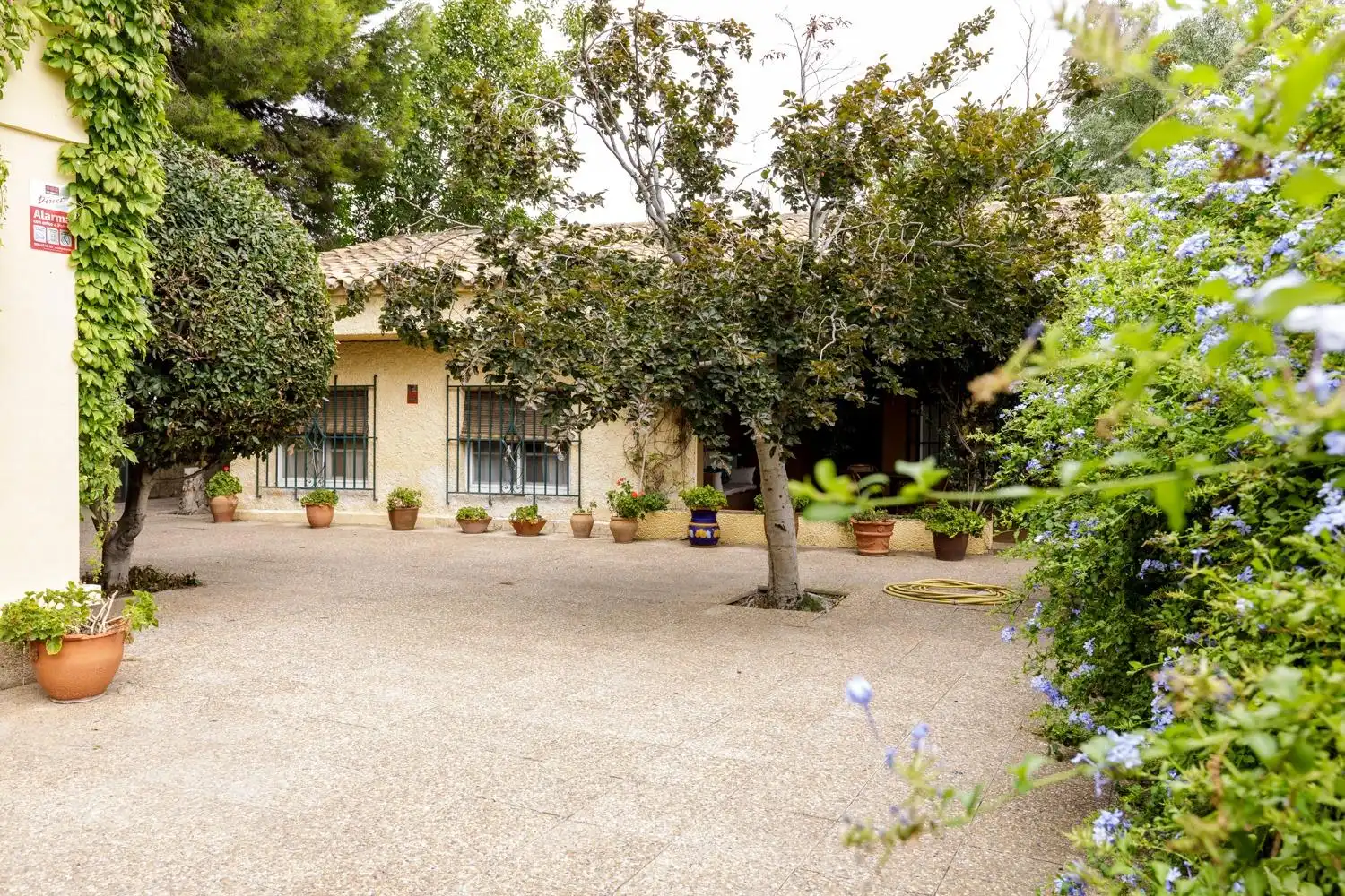 Vista exterior de Casa o xalet en venda en Zaragoza amb Aire condicionat, Calefacció i Jardí privat