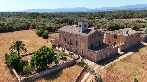 Foto 4 de Finca rústica en venta en Marina, Algaida, Illes Balears