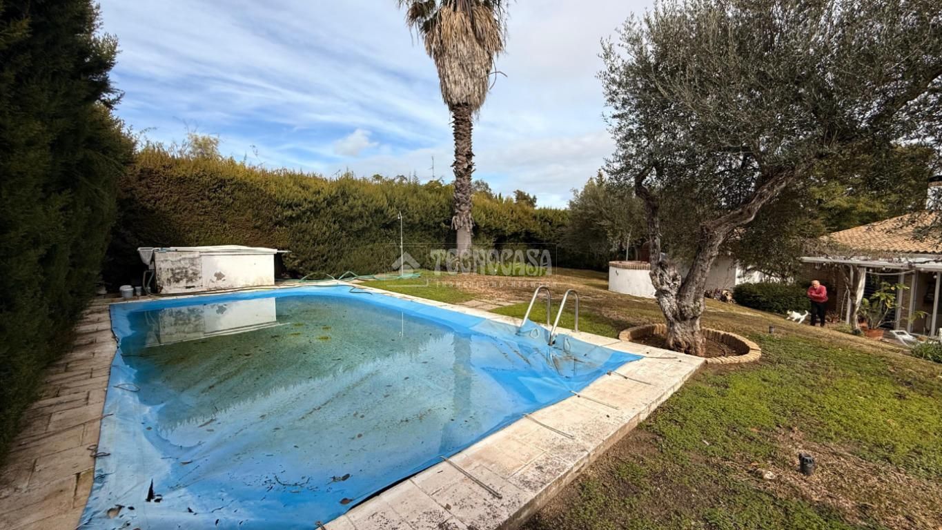 Piscina de Casa o xalet en venda en Mairena del Aljarafe amb Calefacció