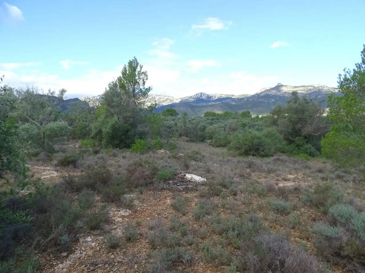 Villa à vendre à Aldover, imagen 10
