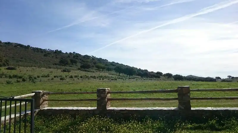 Land for sale in Salorino