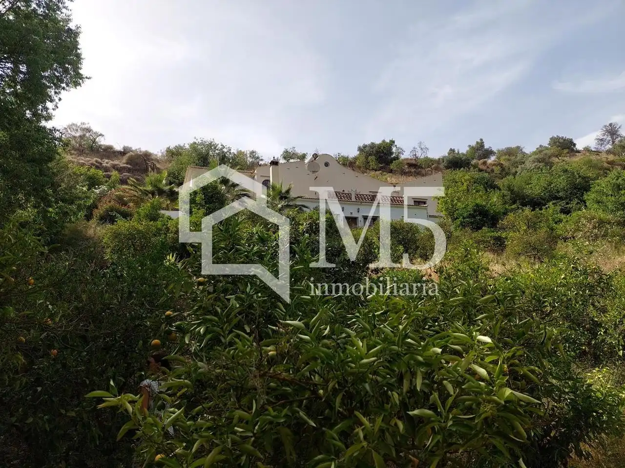 Casa rústica con piscina en venta en Sedella, imagen 31