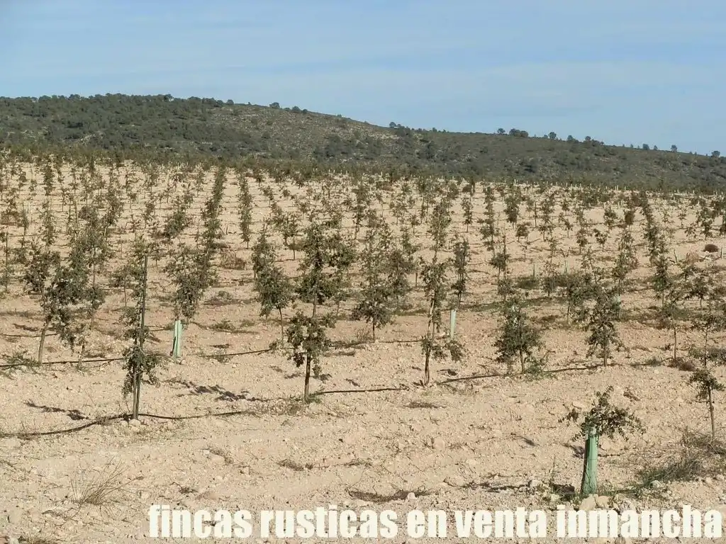 Rustikales Grundstück zum Verkauf in Jumilla