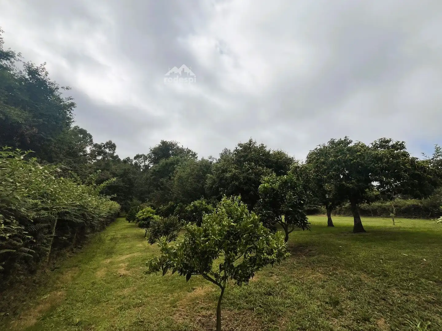 Rural land for sale in Covelo, imagen 20