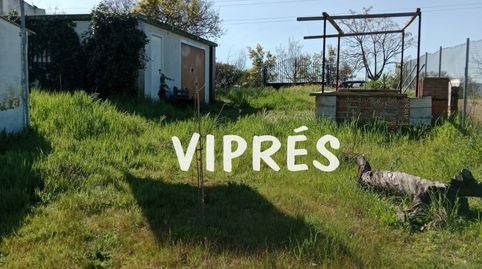 Foto 4 de Finca rústica en venta en Oeste, Mérida