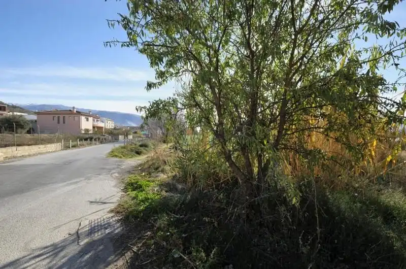 Terrain rustique à vendre à Calle Maestra Encarnación Villaverde, imagen 13