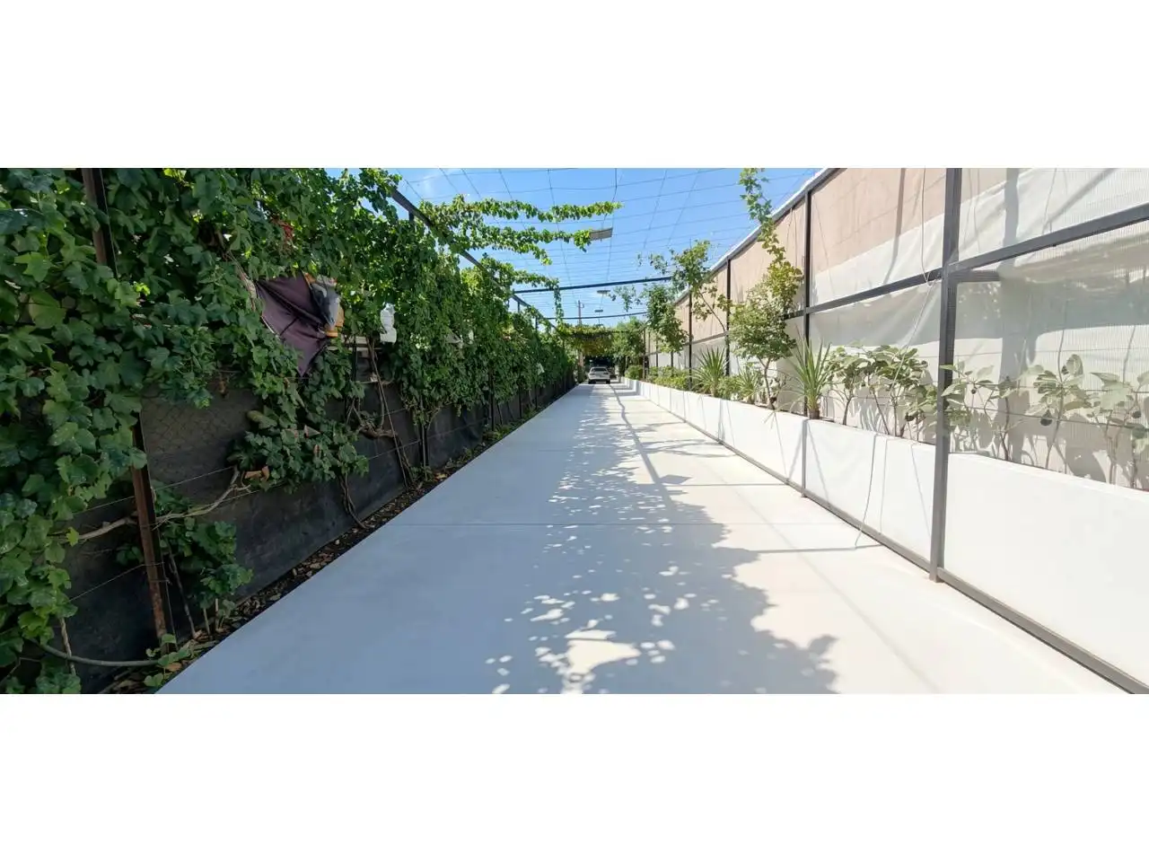 Terraza de Finca rústica en venta en Aguadulce