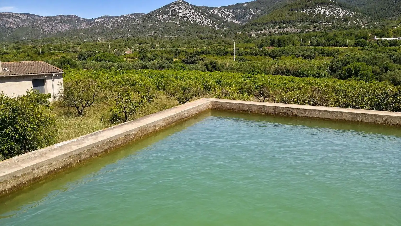 Terreno rústico en venta en Santa Magdalena de Pulpis, imagen 6