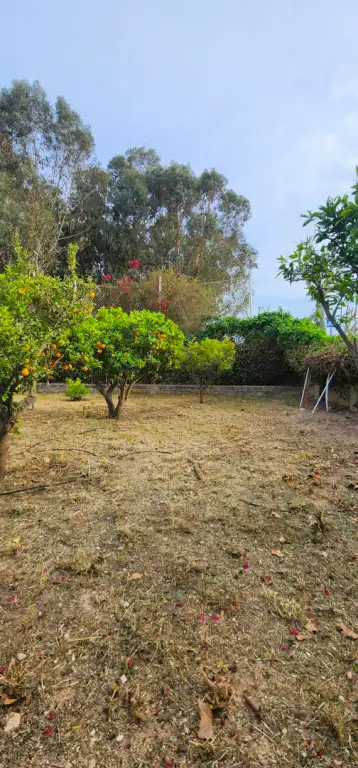 Casa o xalet en venda en L'Alfàs del Pi