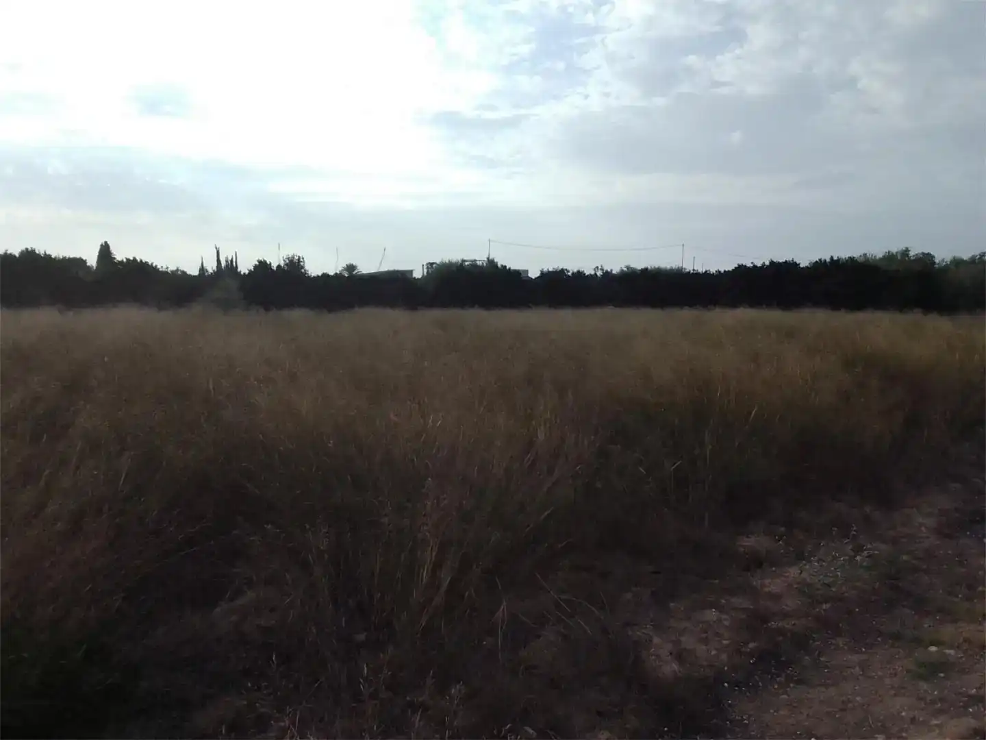 Land for sale in Guardamar del Segura