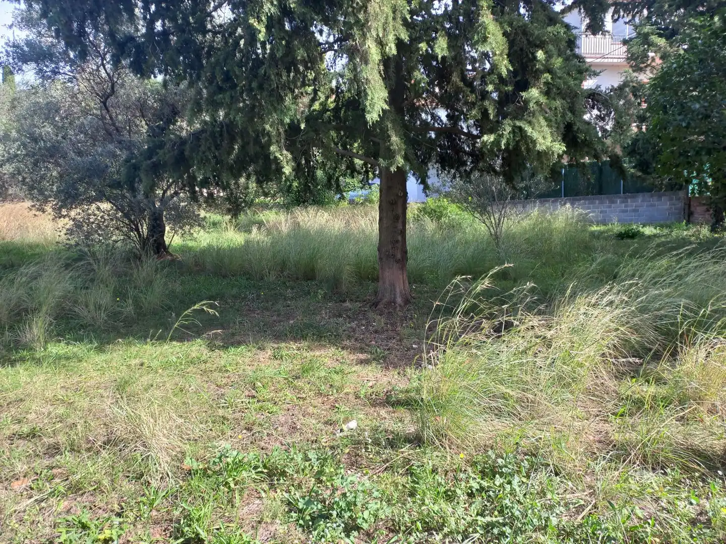 Lands and plots for sale in Bigues i Riells del Fai, imagen 5