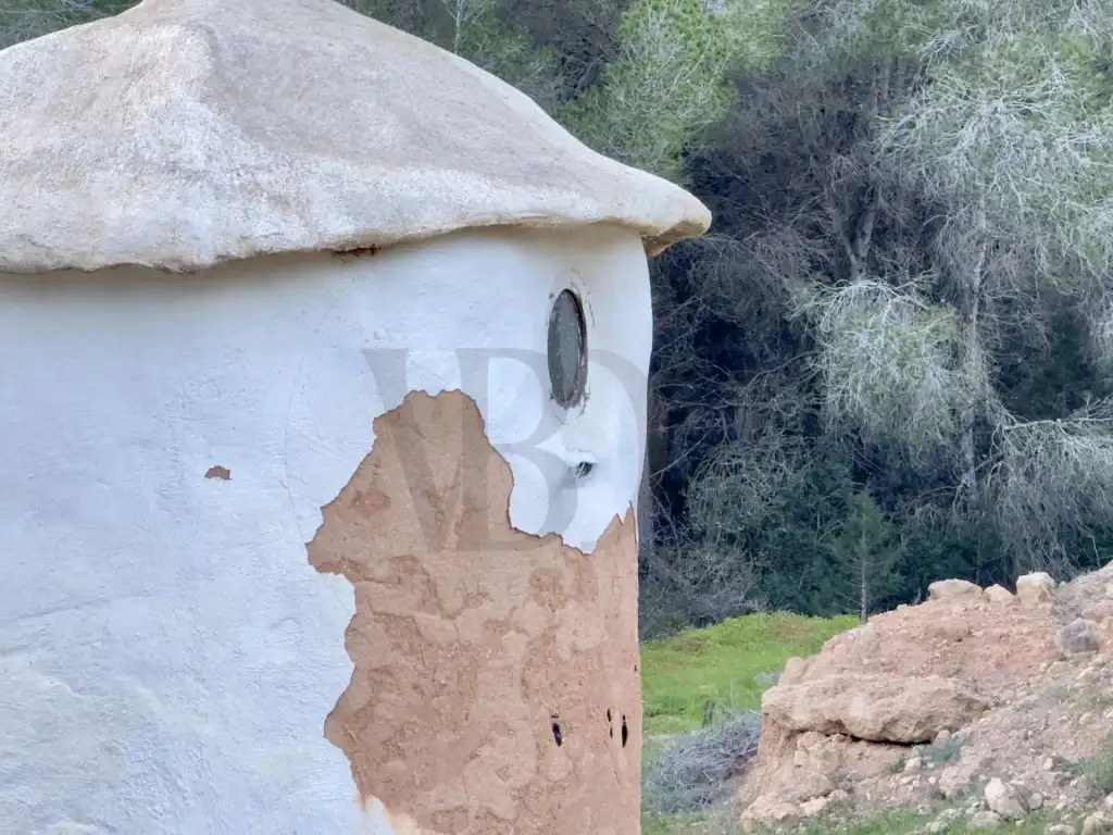 Exterior view of Houses for sale in Sant Josep de sa Talaia  with Private garden