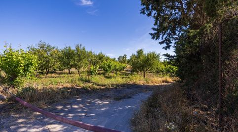 Oportunidad Única Finca Rústica Productiva junto al Polideportivo de Dúrcal, immagine 3