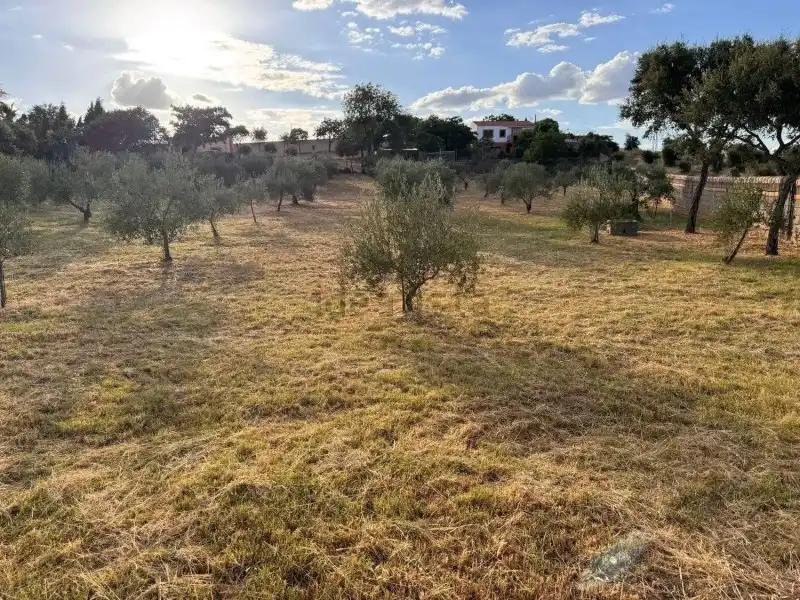 Terreni e lotti in vendita a Montesol - Mejostilla, imagen 22