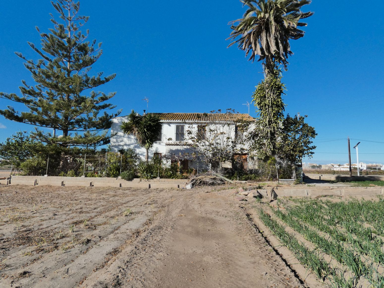 Exterior view of Country house for sale in Alboraya  with Terrace and Storage room