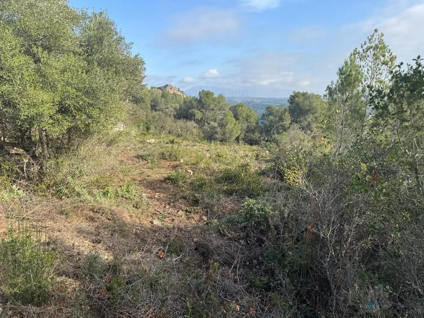 Grundstücke und Bauplätze zum Verkauf in Cabrera d'Anoia, imagen 9