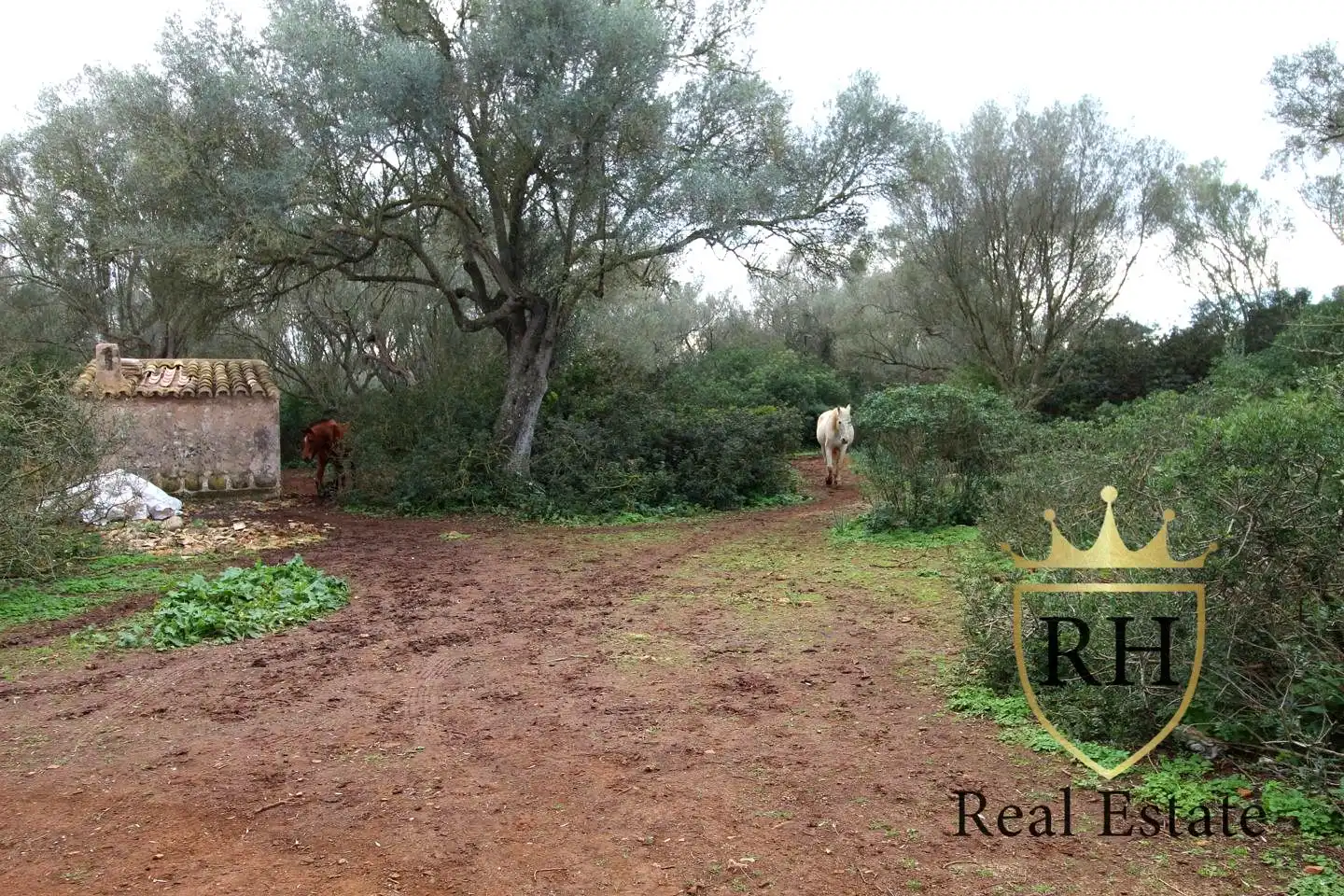 Lands and plots for sale in POLIGONO 49 PARCELA 3, imagen 26