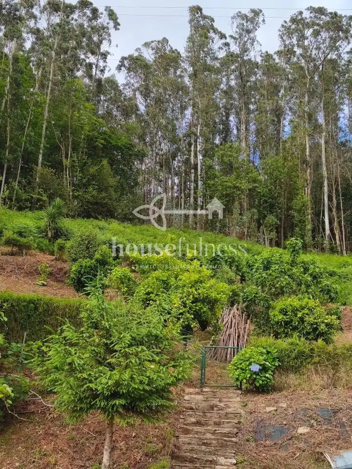 Casa o chalet en venta en Cedeira con Calefacción y Jardín privado
