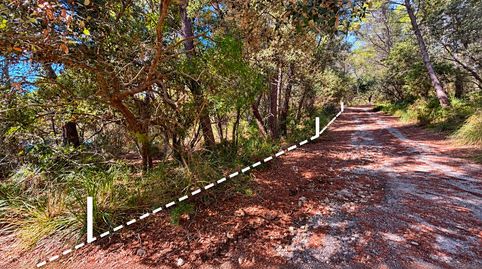 Terreno rústico de 14.000 m² en Son Net – Puigpunyent, Serra de Tramuntana., immagine 2