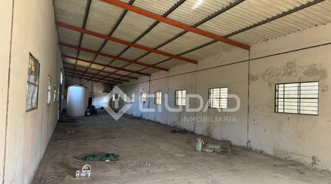 Photo 5 of Industrial buildings for sale in Las Palmeras - Dehesilla, Sanlúcar de Barrameda