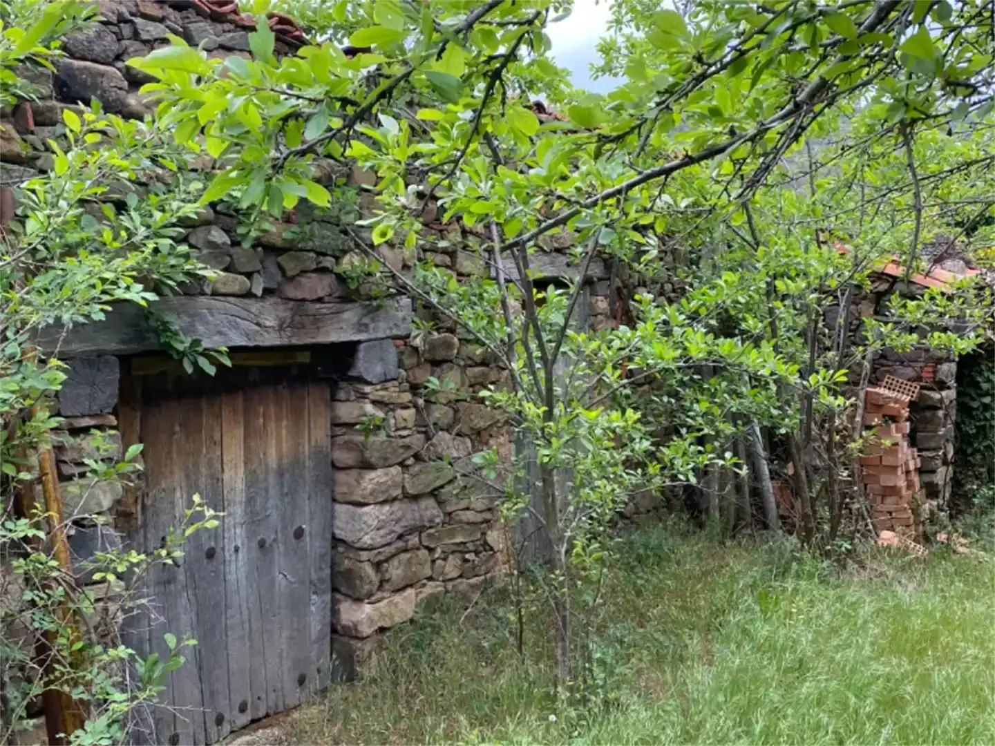 Vista exterior de Finca rústica en venda en Rabanera amb Jardí privat i Traster