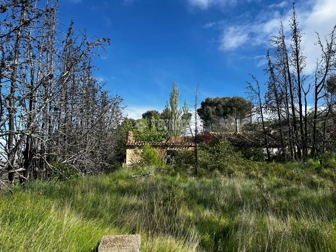 Land for sale in Borja