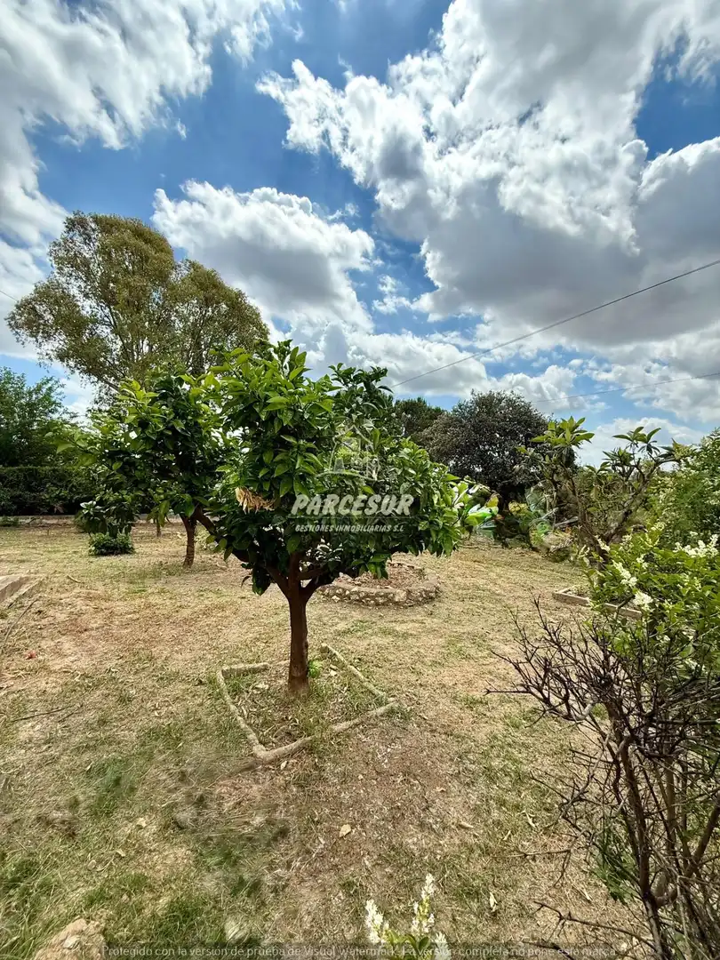 Landhaus mit Garten zum Verkauf in Almodóvar del Río, imagen 36
