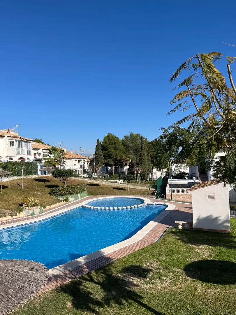 Piscina de Planta baixa de lloguer en Torrevieja amb Aire condicionat, Moblat i Piscina comunitària