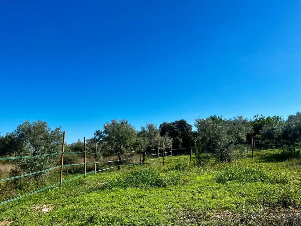 Finca rústica en venda en San Jorge / Sant Jordi amb Calefacció, Jardí privat i Terrassa
