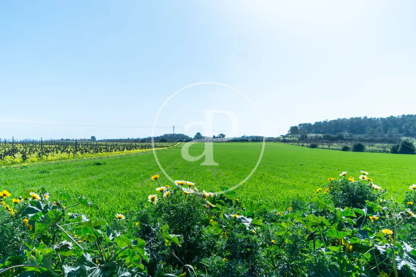 Residential for sale in Porreres