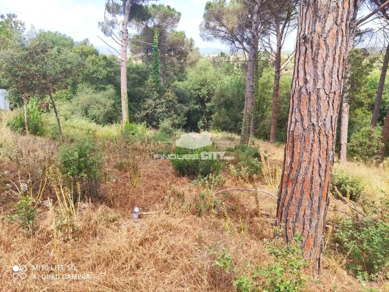 Terreno residencial en venta en Calle Nard, imagen 9