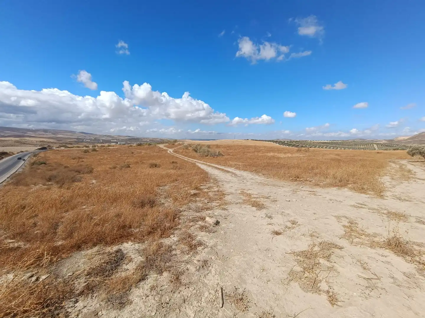 Finca rústica en venta en Villa de Otura
