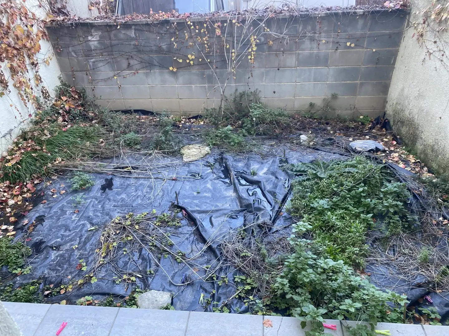 Gewerbefläche zur Miete in Torelló, imagen 4