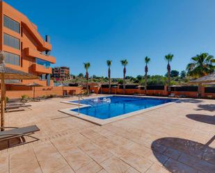 Piscina de Apartament en venda en Orihuela amb Terrassa, Piscina i Moblat