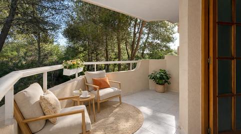 Foto 4 de Apartament en venda a Peguera, Calvià