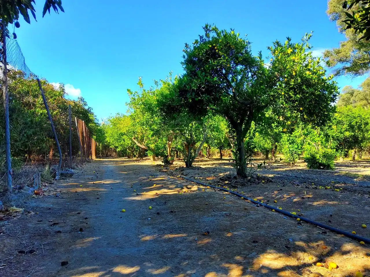 Terreni e lotti in vendita a San Enrique - Guadiaro -  Pueblo Nuevo, imagen 5