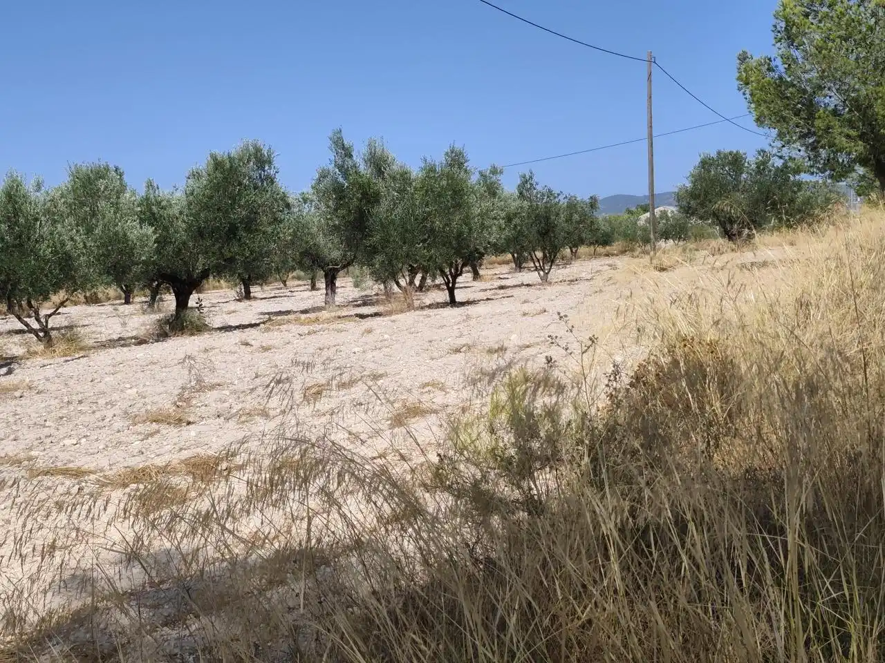 Terreno rustico in vendita a Castalla, imagen 8